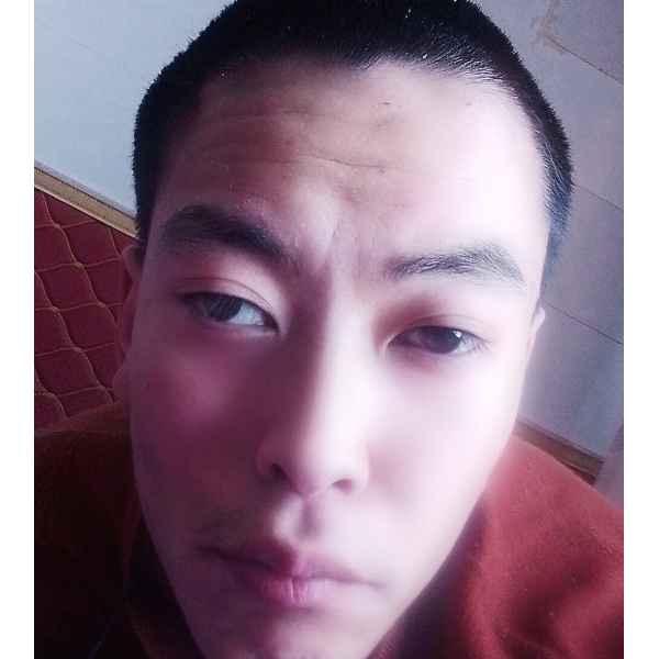 宁夏25岁单身帅哥真诚找对象-锡林郭勒盟征婚相亲网
